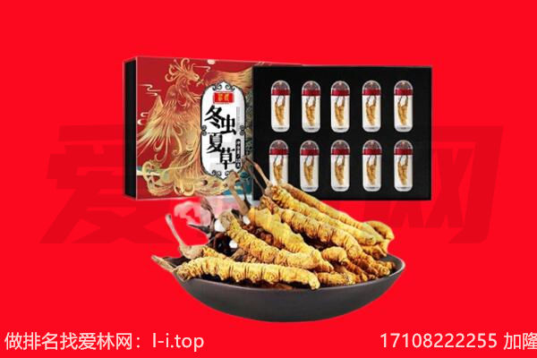 成都市金牛回收虫草.jpg